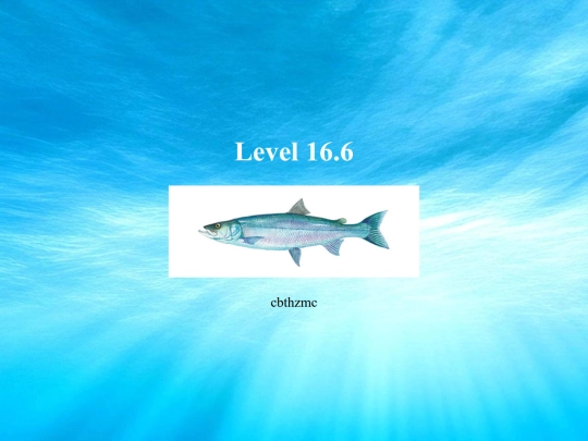 cichlids/inconnu screenshot