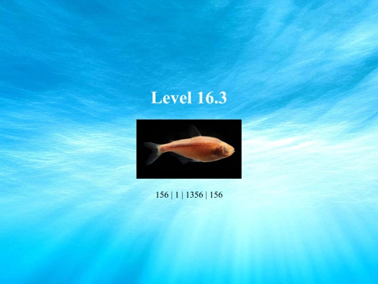 cichlids/redtail screenshot