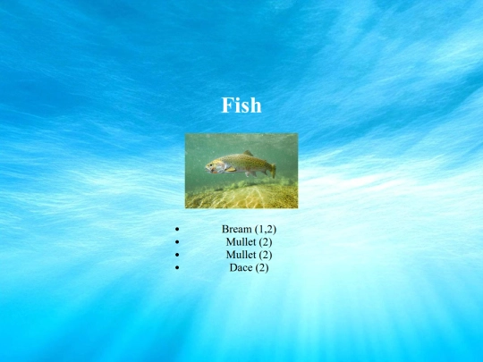 cichlids/sardine screenshot