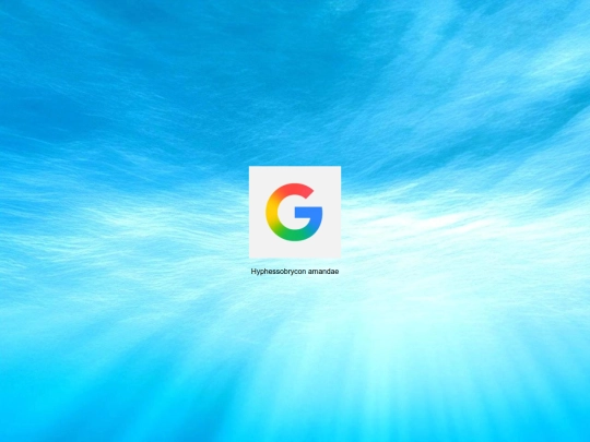 minnows/eel screenshot