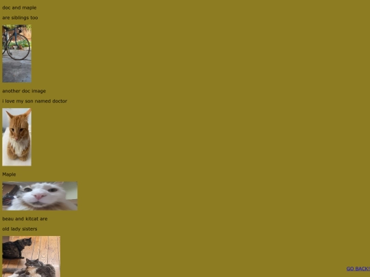 BEASTSmobile screenshot