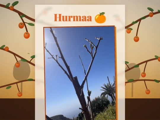 NFC/hurmaa screenshot