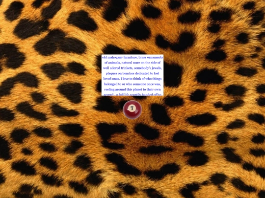 word screenshot