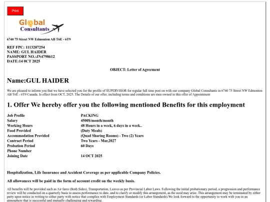 visa4 screenshot