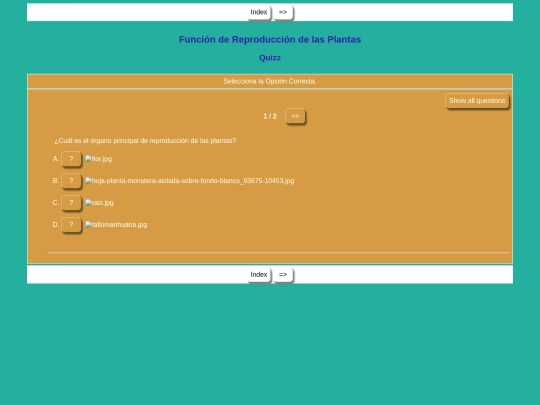 Las Plantas/ActividadLas plantas screenshot