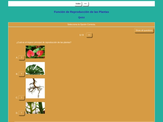 PRESENTACIÓNDELASPLANTAS/Actividad. Las plantas screenshot