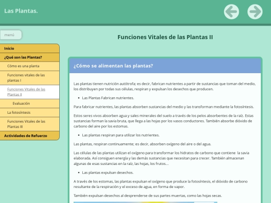 PRESENTACIÓNDELASPLANTAS/FINALFINAL/funciones_vitales_de_las_plantas_ii screenshot