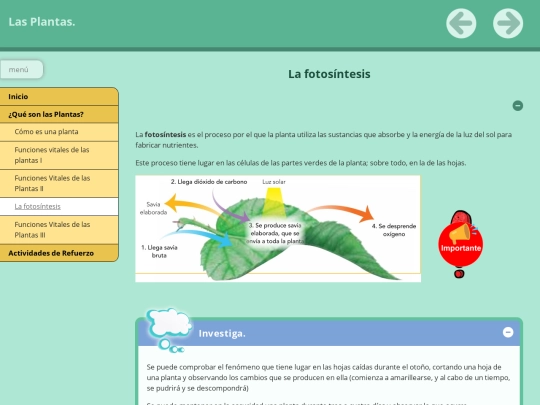 PRESENTACIÓNDELASPLANTAS/FINALFINAL/la_fotosntesis screenshot