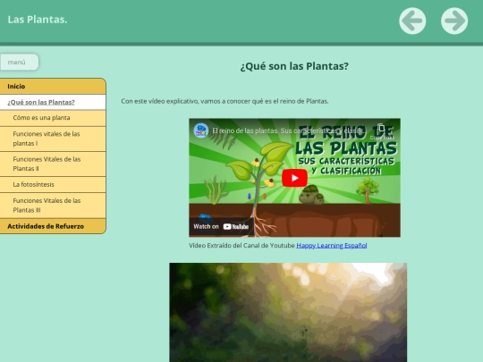 PRESENTACIÓNDELASPLANTAS/FINALFINAL/qu_son_las_plantas screenshot
