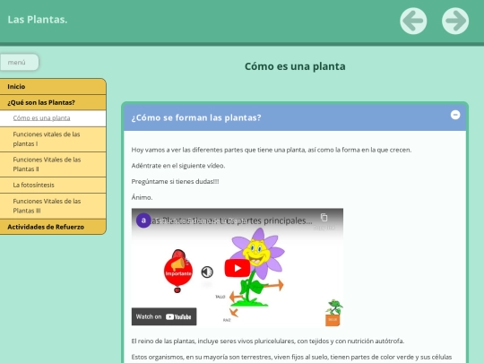 PRESENTACIÓNDELASPLANTAS/LasPlantas/cmo_es_una_planta screenshot