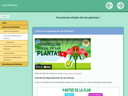 PRESENTACIÓNDELASPLANTAS/LasPlantas/funciones_vitales_de_las_plantas_i screenshot