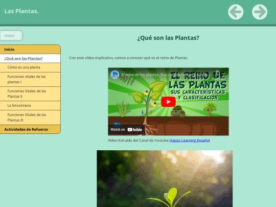 PRESENTACIÓNDELASPLANTAS/LasPlantas/qu_son_las_plantas screenshot
