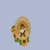 The web site of caseolum avatar
