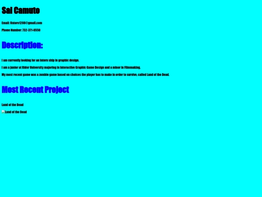 Portfolio /Portfolio screenshot