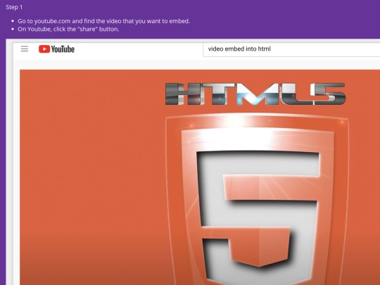 ExampleVideoEmbed screenshot