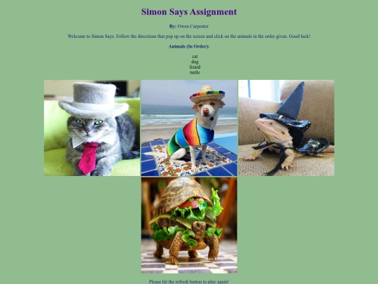 Simon Says Assignment/SimonSaysAssignment screenshot