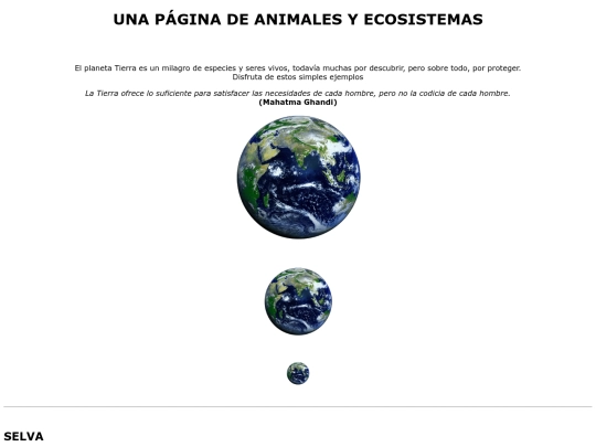 ejercicio05 screenshot