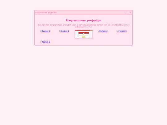 programmeer_projecten screenshot