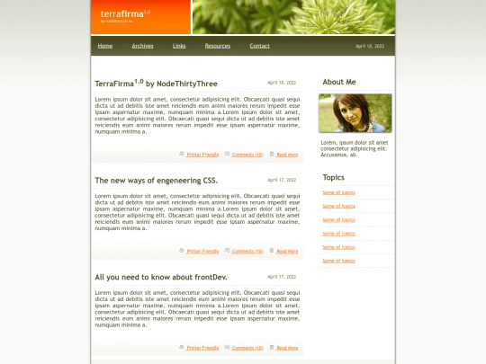 TerraFirma screenshot
