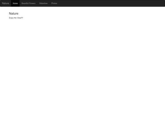 navbar screenshot