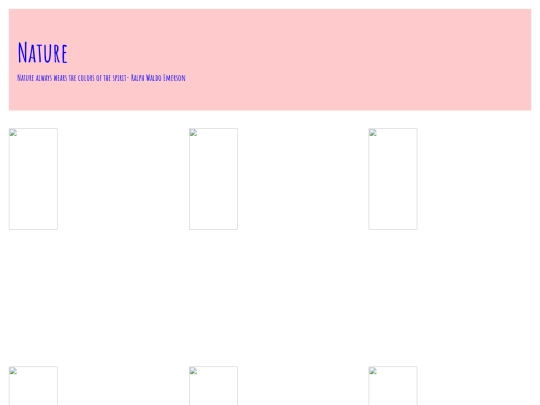photogallery screenshot