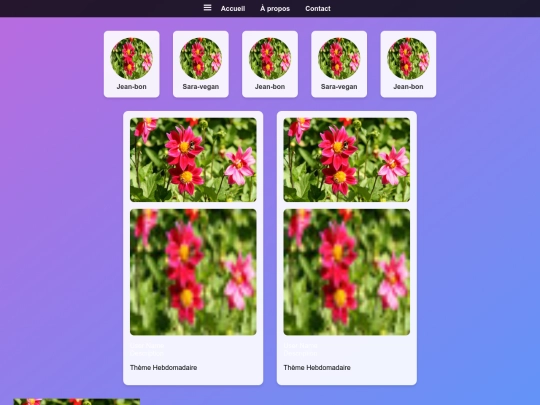 accueil screenshot