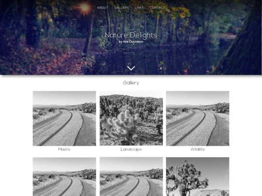 gallery screenshot