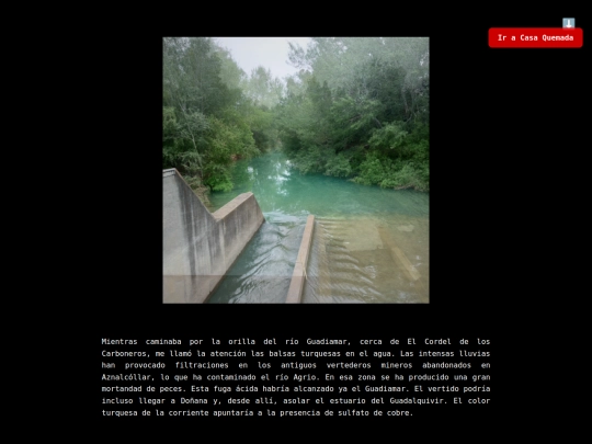 turquesa screenshot