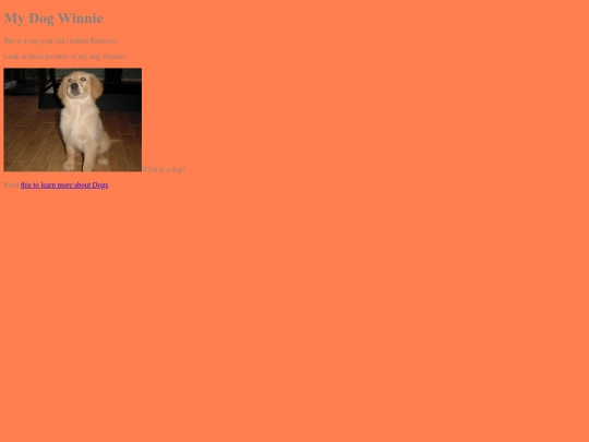Winnie screenshot