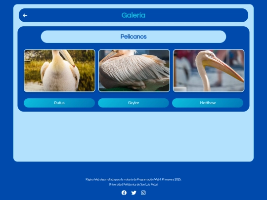 ProyectoTerminado/9-galeriapelicanos screenshot