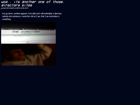 sections/projects/thedirectorysite/directory1 screenshot