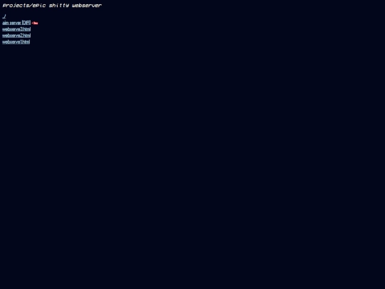 sections/projects/webserver screenshot