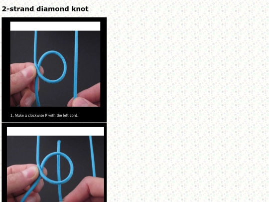 knots/2sd/2sd screenshot