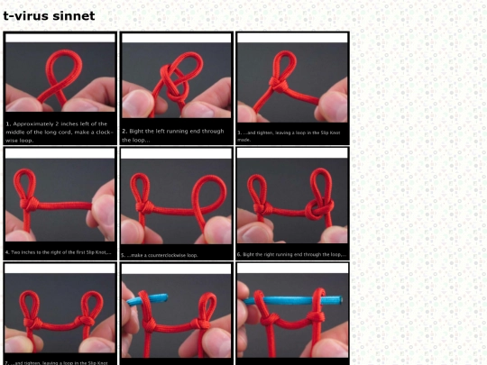 knots/tvs/tvirussinnet screenshot