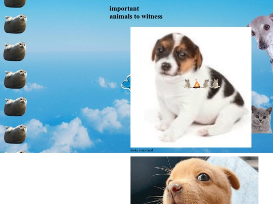 Cuteanimalpics screenshot