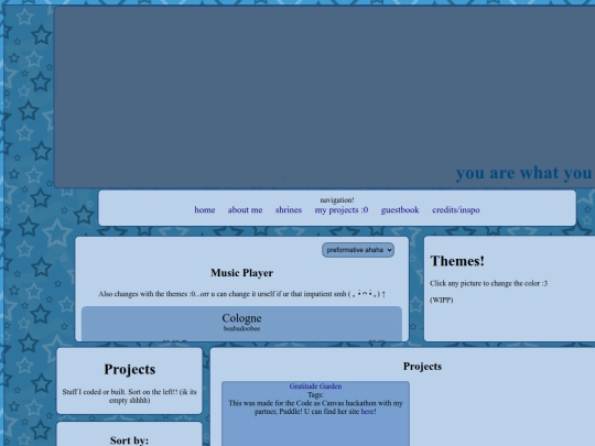 projects screenshot