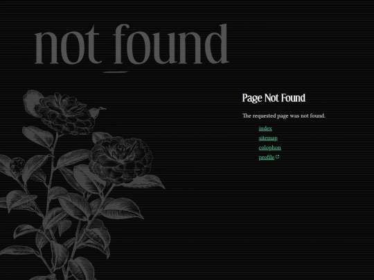 not_found screenshot