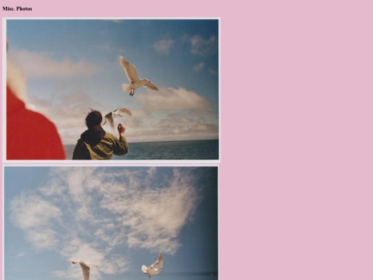 photo screenshot