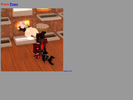 Web screenshot