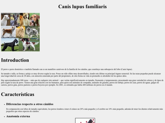 EntregaObligatoriaM1/xEntregaObligatoriaM1 screenshot