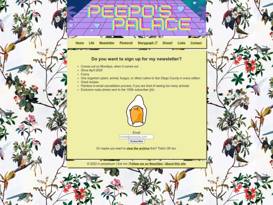 newsletter screenshot