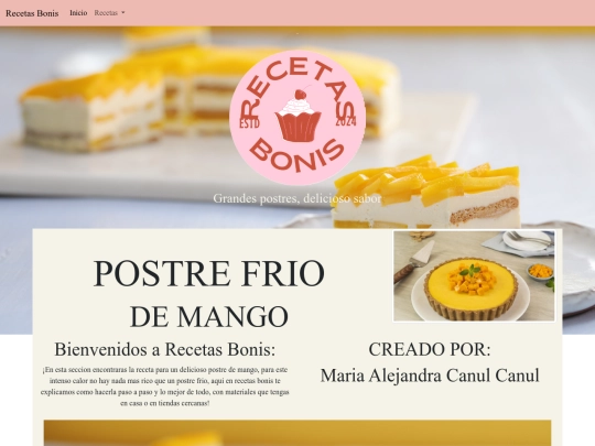 paginas/receta 3 (canul) screenshot