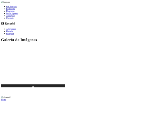 rosedalgaleria screenshot