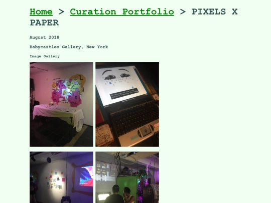 pixelsXpaper screenshot