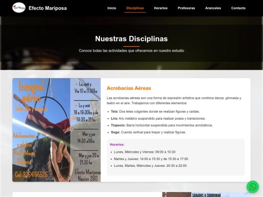 final.mayo/disciplinas screenshot