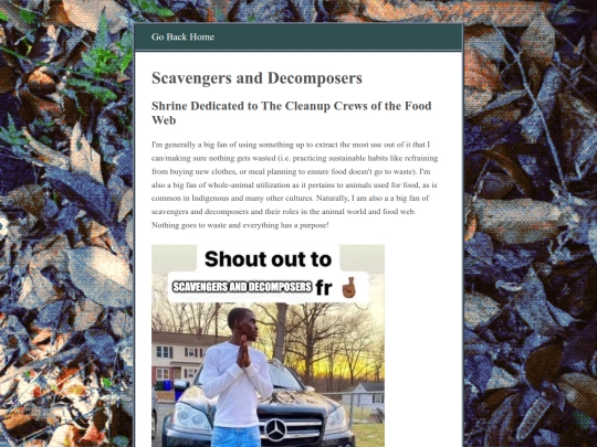 scavengers_decomposers screenshot