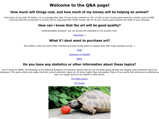 qa screenshot