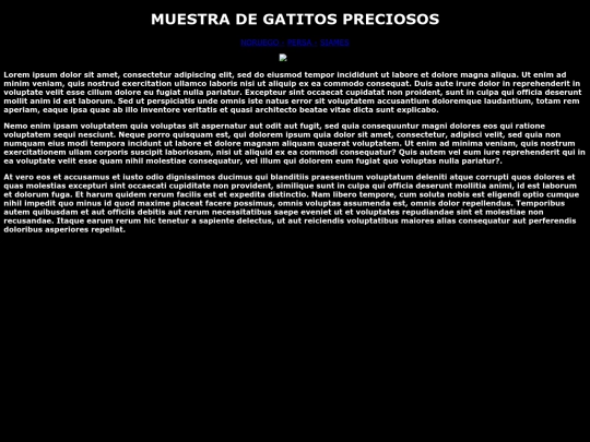 Examen09/webgato1 screenshot