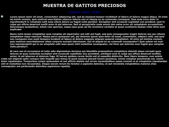 Examen09/webgato2 screenshot