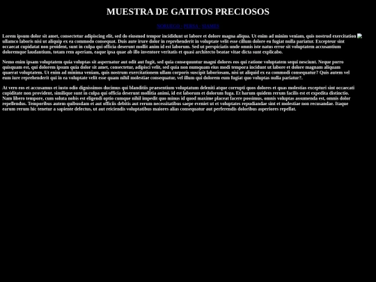 Examen09/webgato3 screenshot